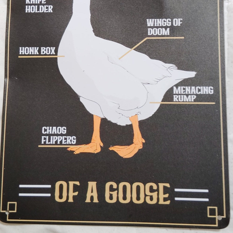 Anatomy of a Goose 12x8 Retro Tin Sign – Funny Goose Diagram – Chaos Flippers & Honk Box Humor