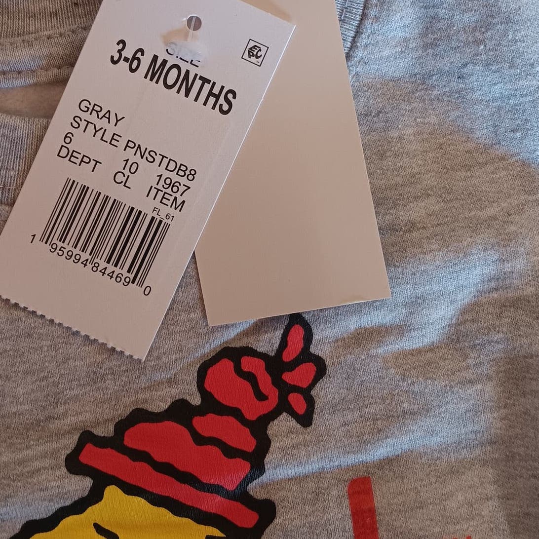 Peanuts Infant (3-6M) Boys Gray Charlie Brown Christmas Woodstock Sweatshirt Top