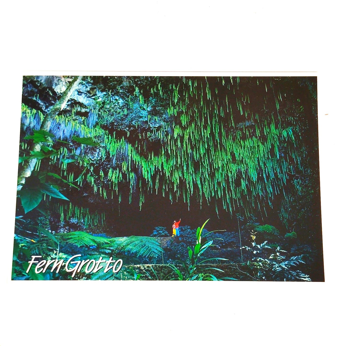 VTG Fern Grotto Kauai Hawaii Postcard Wailua River 2004 NOS