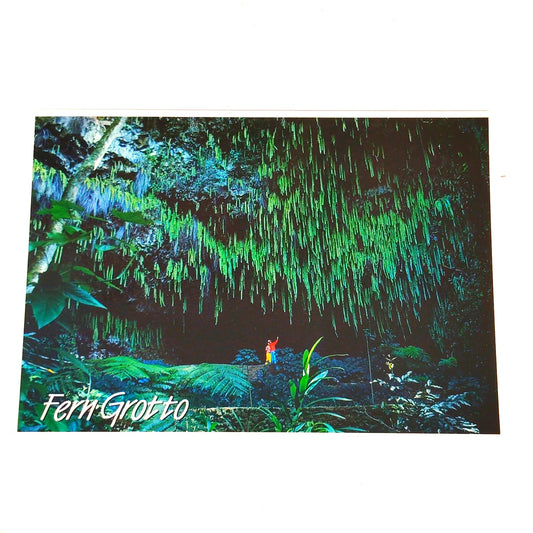 VTG Fern Grotto Kauai Hawaii Postcard Wailua River 2004 NOS