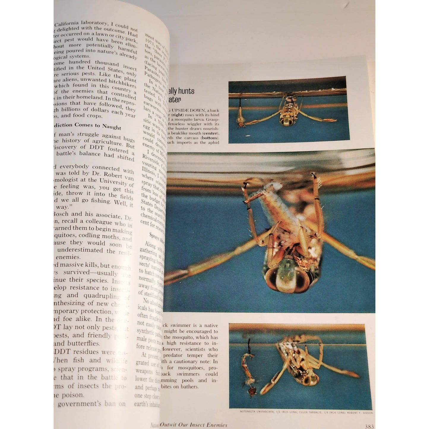 National Geographic Magazine – September 1972, Bangladesh, Japan, Connecticut