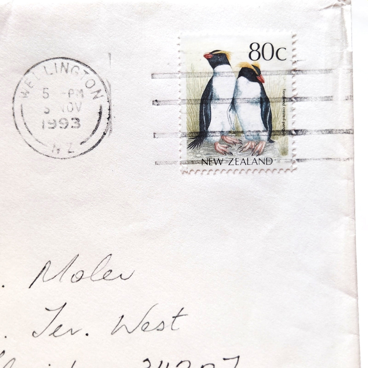 New Zealand 1993 80c Yellow-Eyed Penguin Stamp on Cover Wellington Postmark