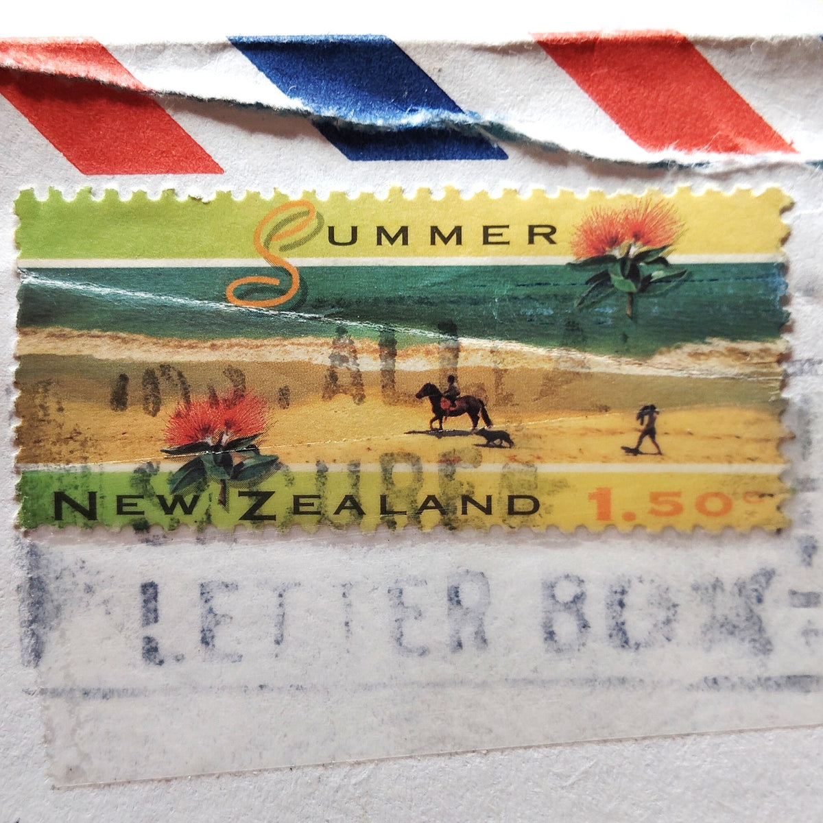 1994 New Zealand $1.50 Summer Pohutukawa Airmail Cover Wellington to Florida