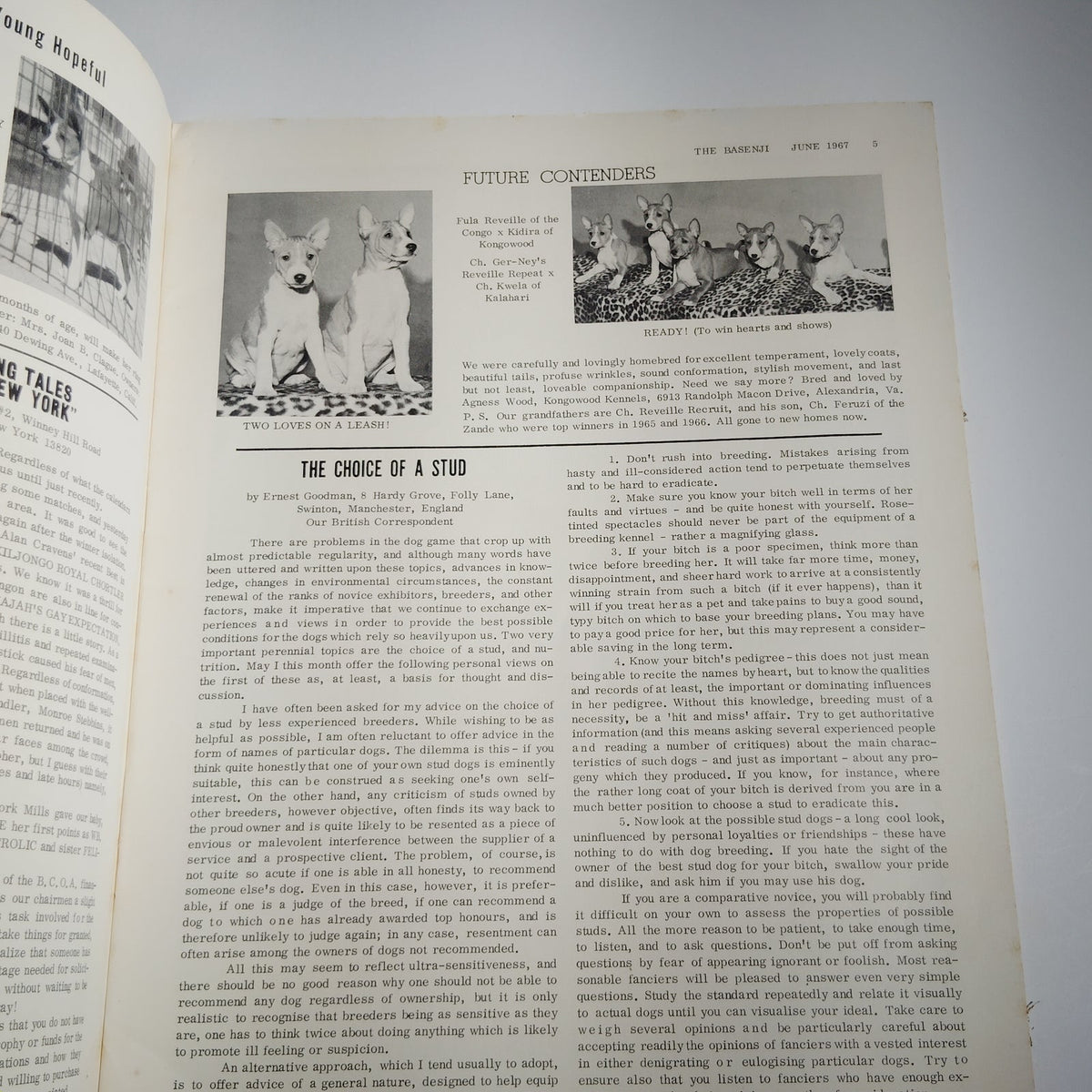 The Basenji Magazine June 1967 Vol. IV No. 6 - Basenji Club of America