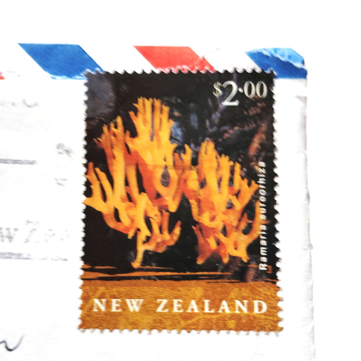 New Zealand 2002 $2.00 Ramaria aureorhiza Fungi Stamp Airmail Cover to USA