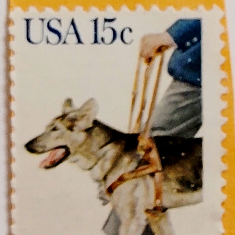 1979 USA 15¢ “Seeing For Me” Scott 1787 – Guide Dog Issue - Canceled