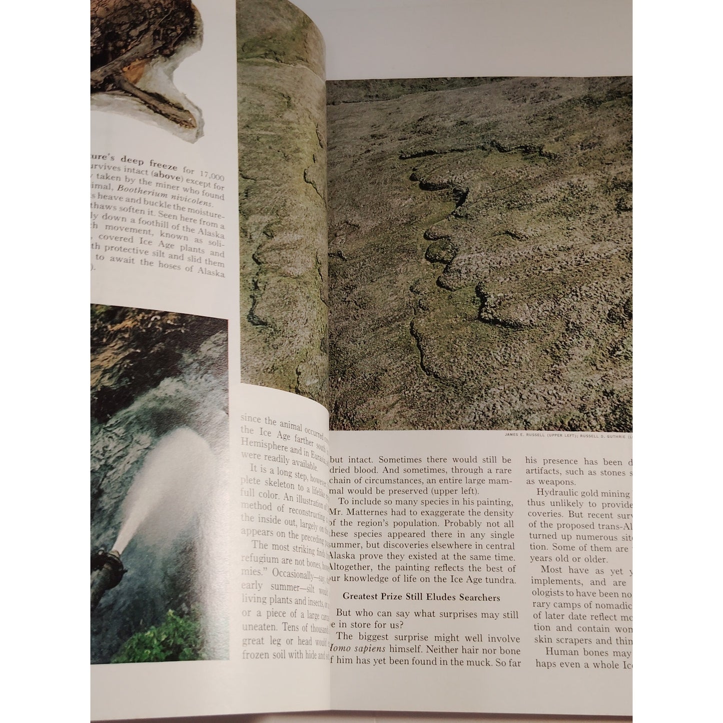 National Geographic – March 1972, British Columbia, New Guinea, Alaskan Tundra