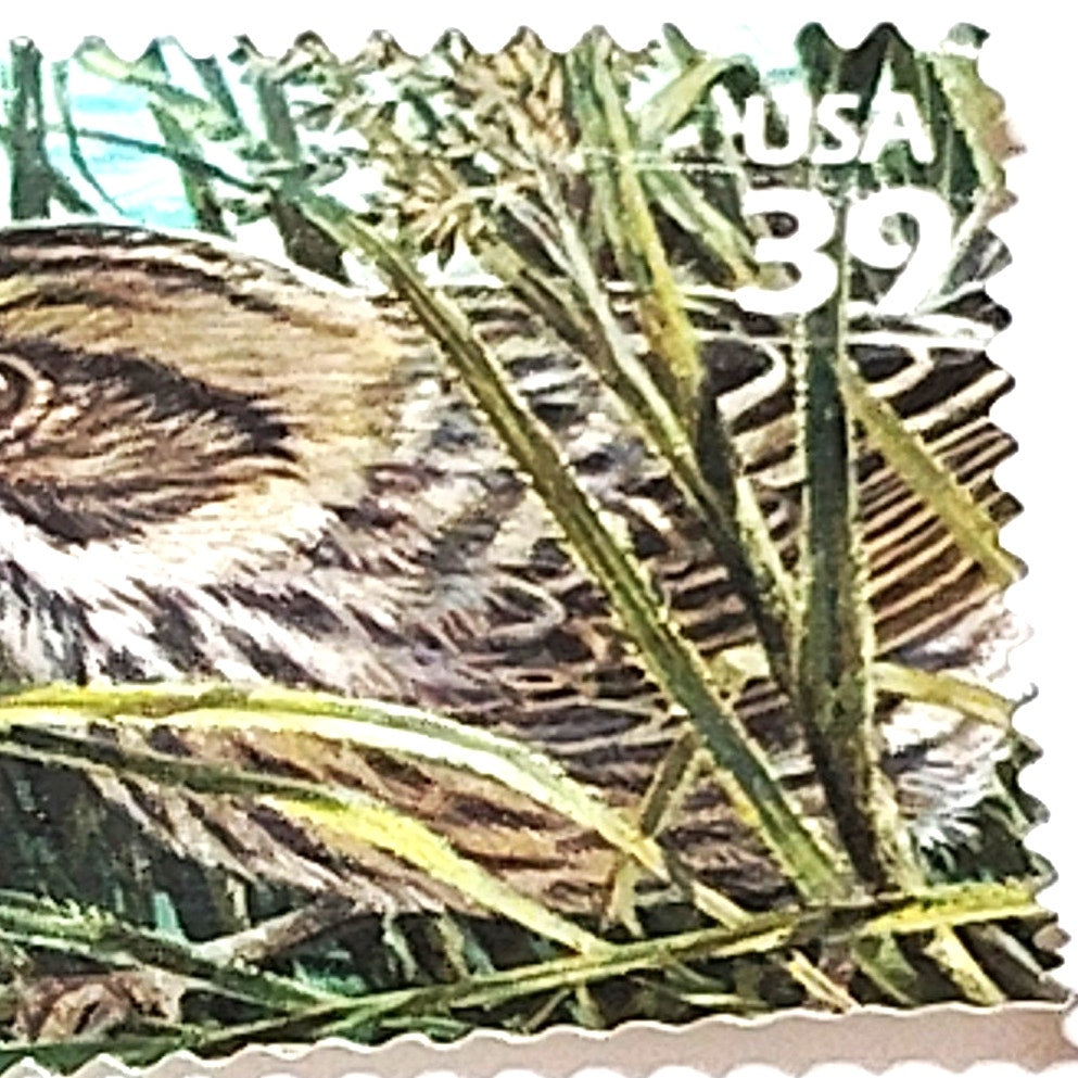 USPS 39 Cent Southern Florida Wetland Stamp - Cape Sable Seaside Sparrow