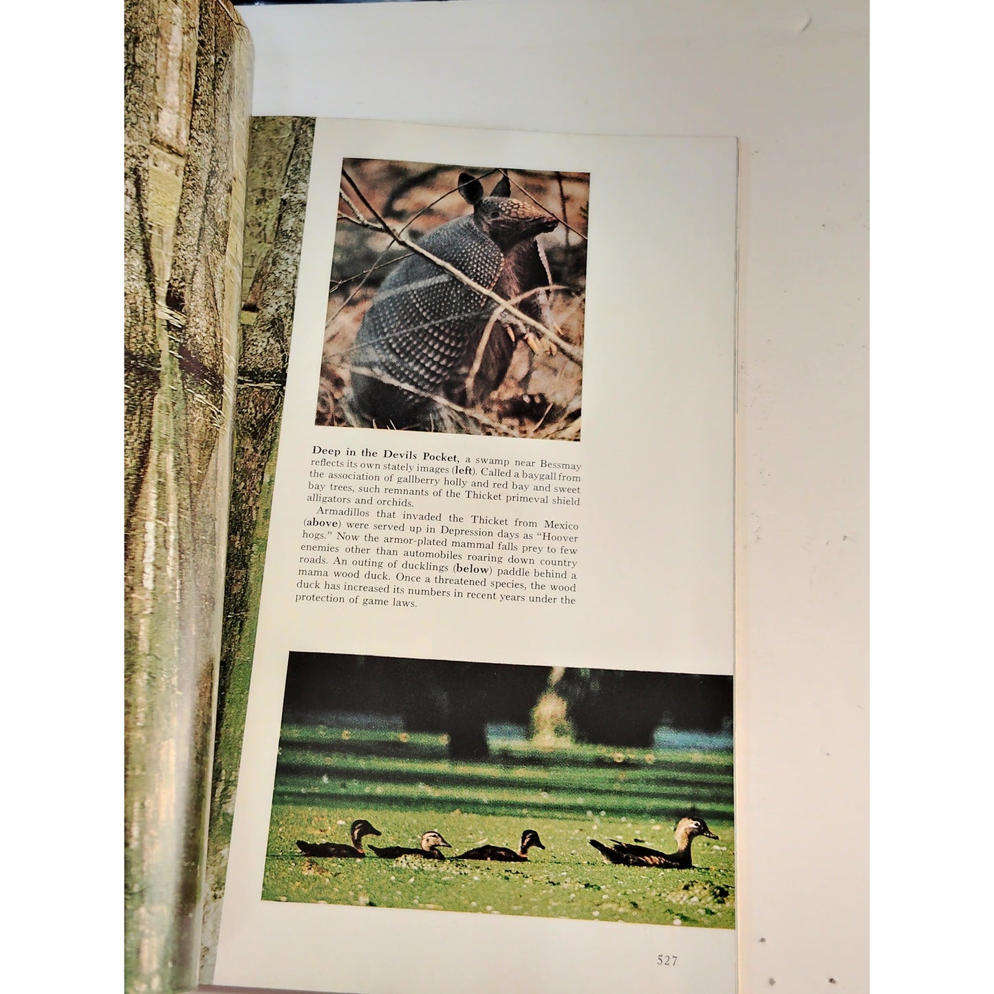 National Geographic Magazine – October 1974, Texas, Bhutan, Skylab, Plankton
