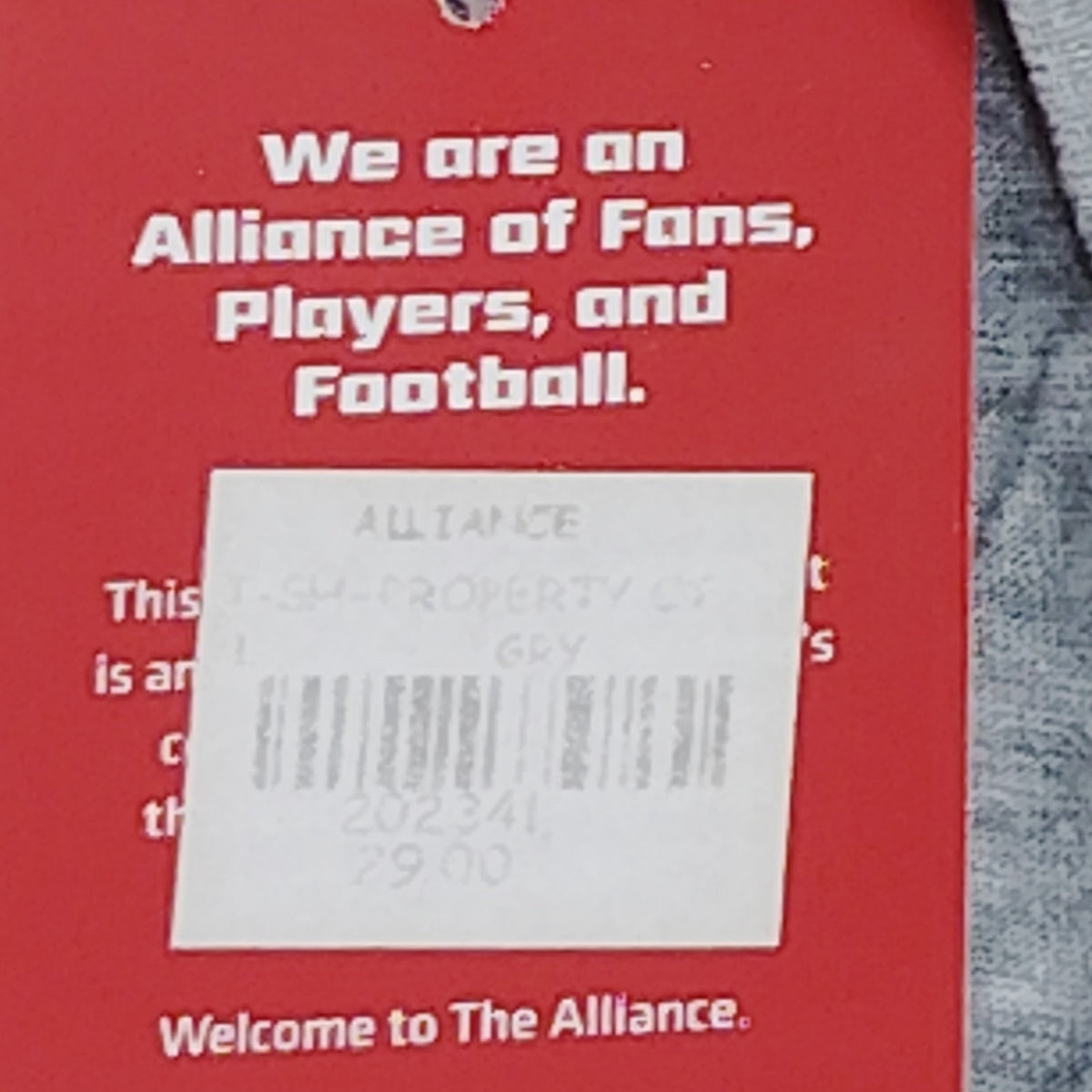 Atlanta Legends AAF G‑III Sports T‑Shirt Lrg Heather Grey Property Of Design NWT