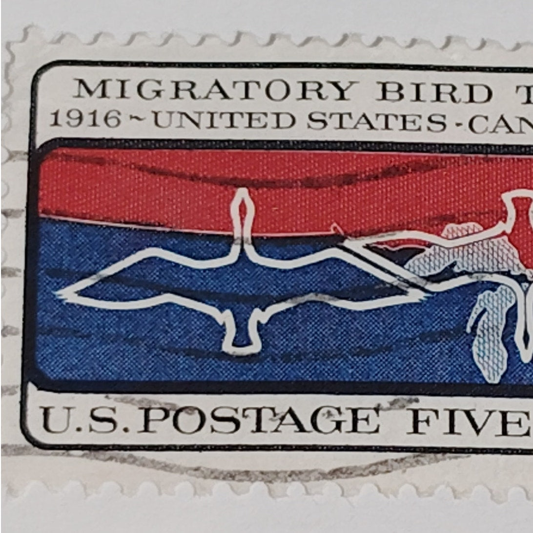 1966 Scott #1306 – 5¢ Migratory Bird Treaty / US–Canada – Canceled