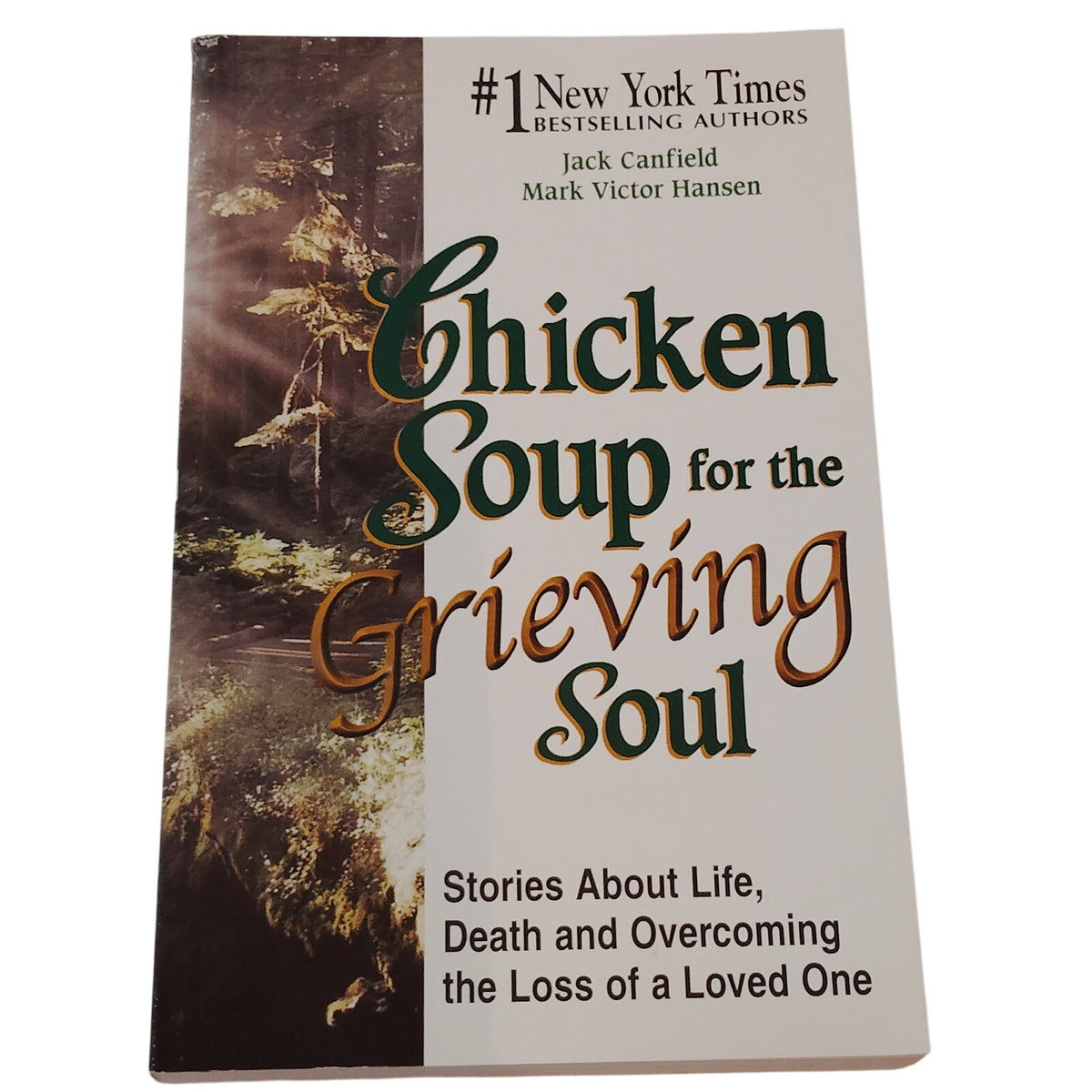 Chicken Soup for the Grieving Soul - SC Stories of Life, Death & Overcoming Loss