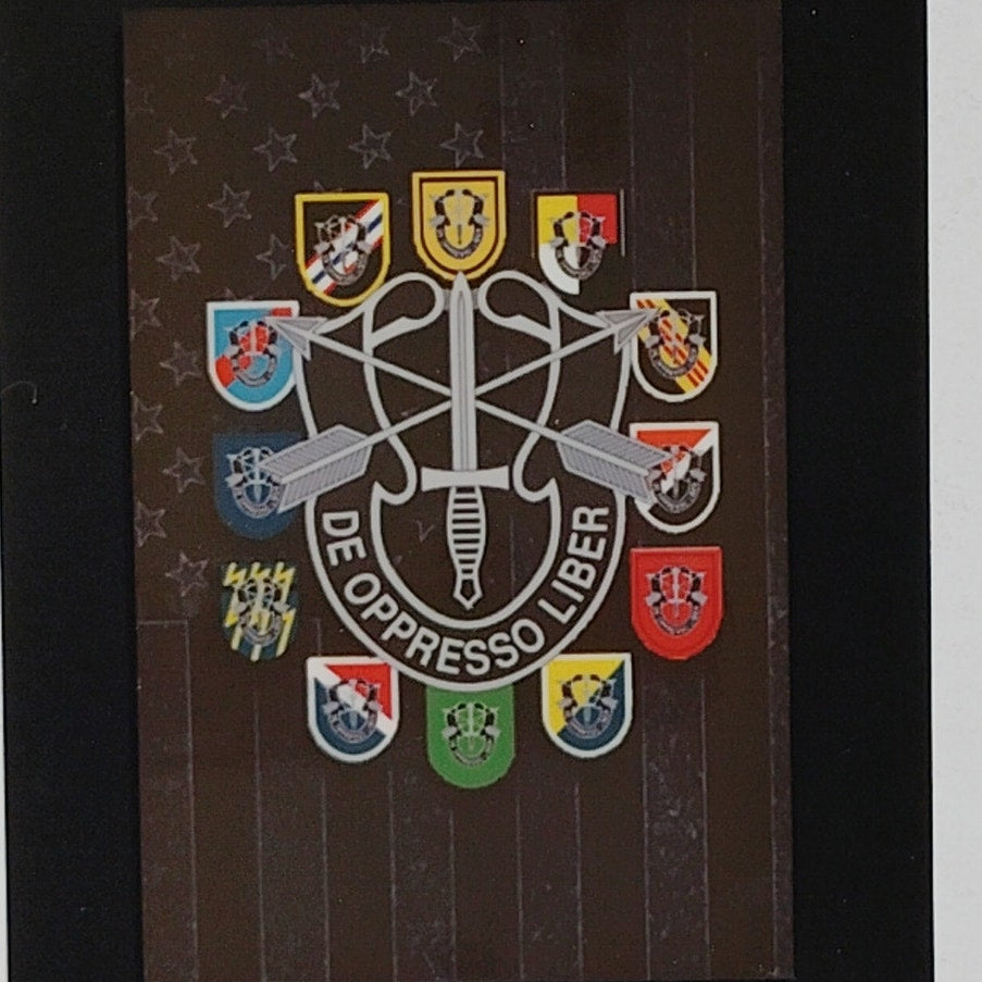 US Army Special Forces Magnet 2" x 3" De Oppresso Liber Motto Unit Patch Collage