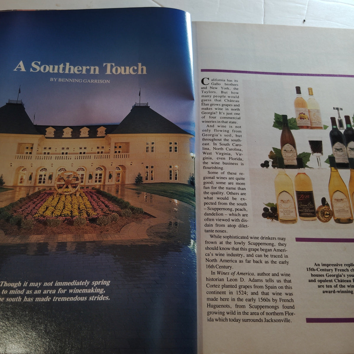 Delta SKY Magazine - January 1990 Travel Edition - Biking, Mexico, Sportswriters