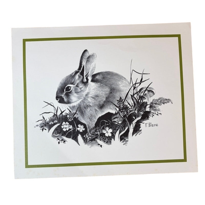Vintage 1970s F. Blane Bunny Rabbit Art Print – Black & White, 16x13.5"