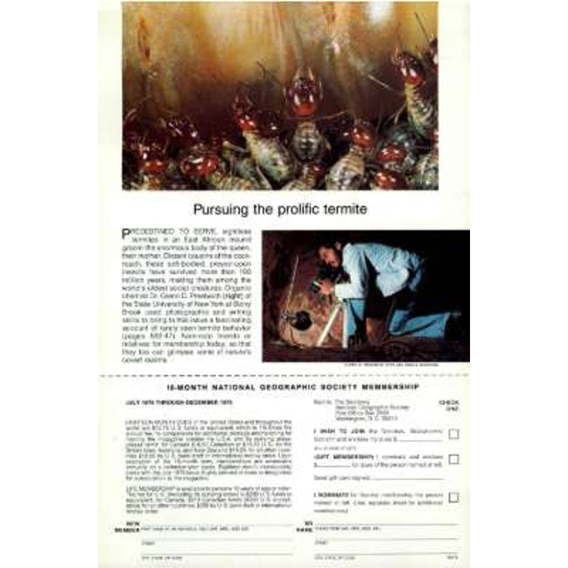 National Geographic Magazine April 1978, China, Chicago, Africa, Yukon, and More