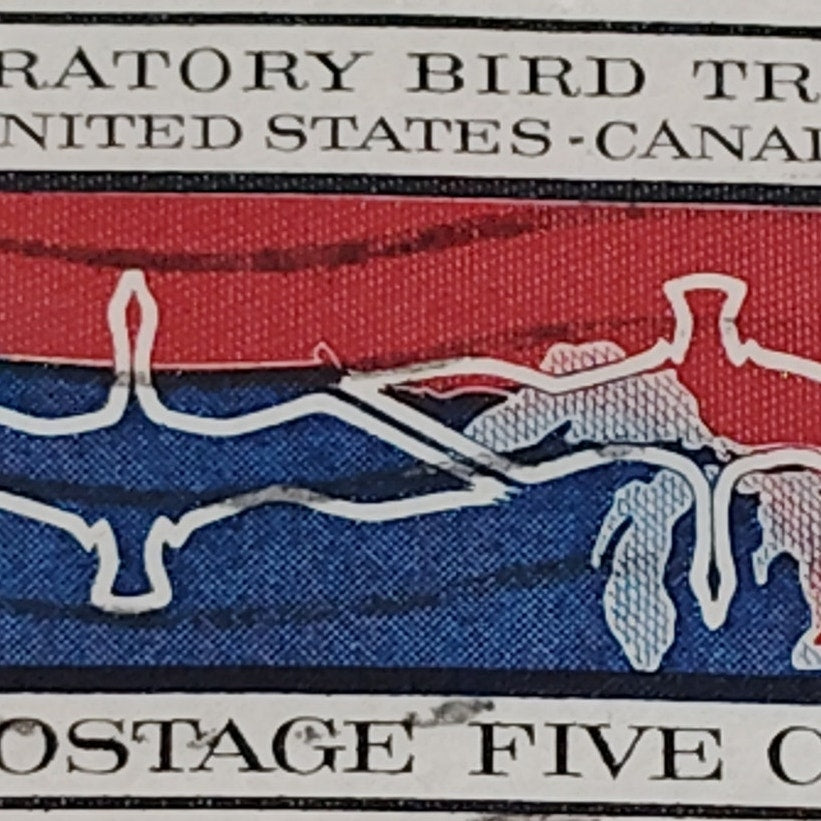 1966 Scott #1306 – 5¢ Migratory Bird Treaty / US–Canada – Canceled