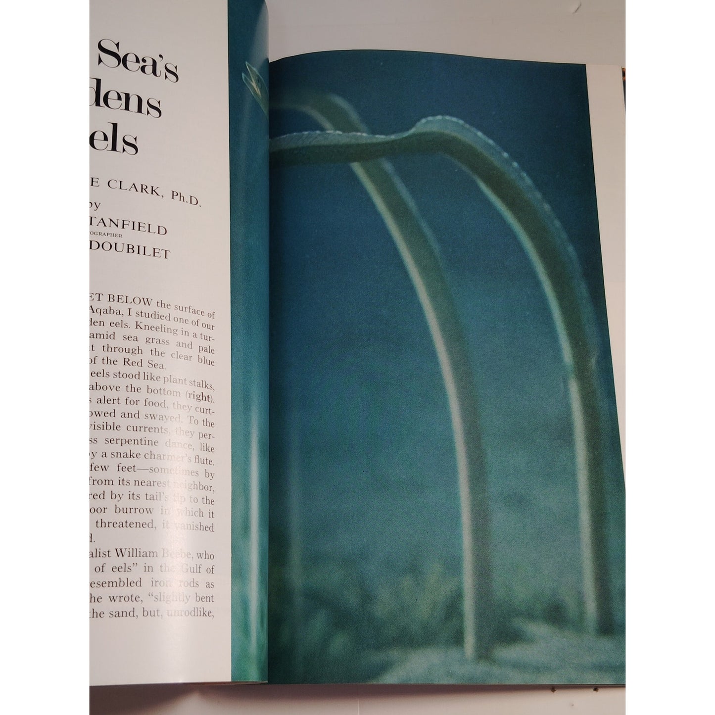 National Geographic – November 1972, Venice, Galápagos, Monterey Peninsula