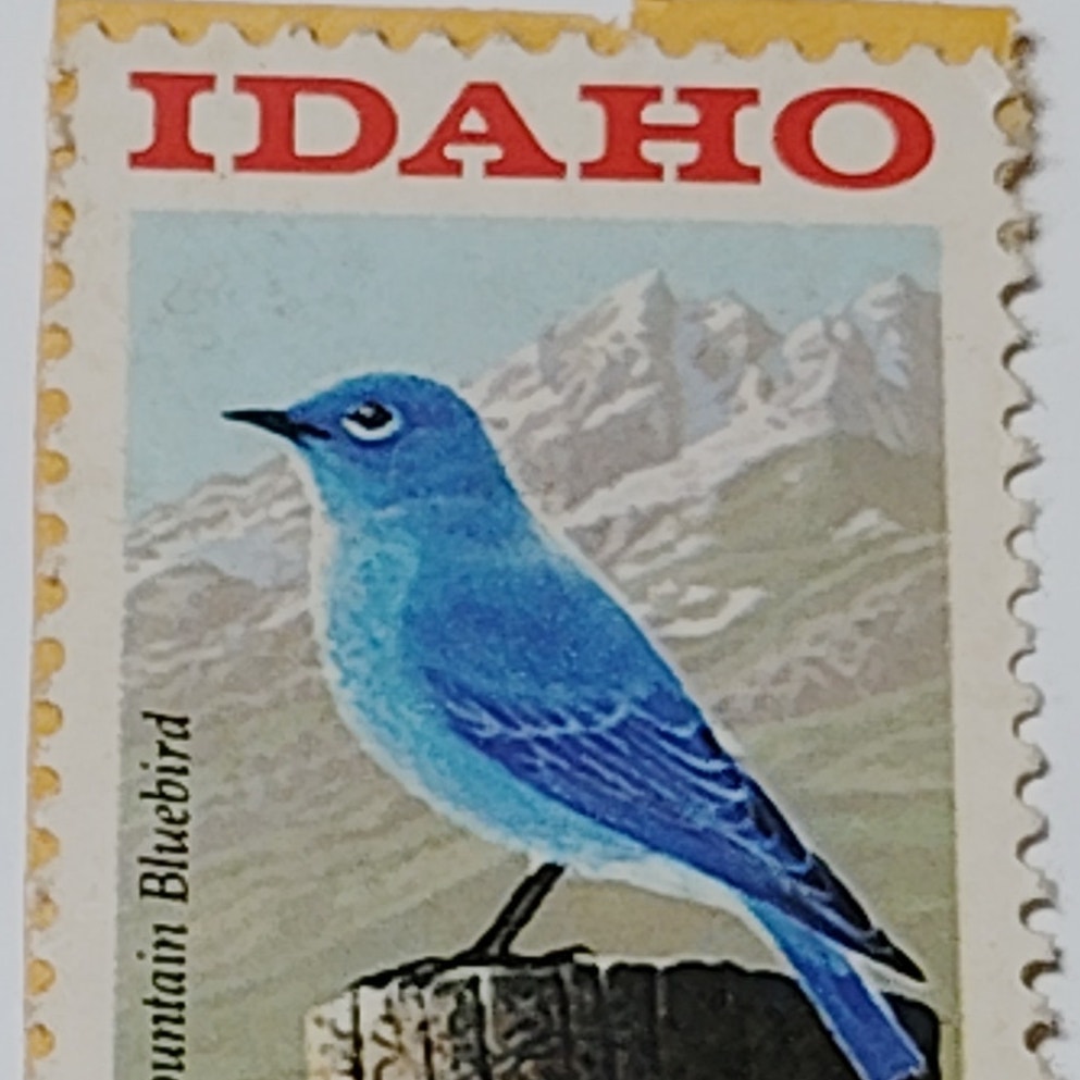 1990 USA 25 Cent Idaho Statehood Mountain Bluebird Stamp - Scott #2439