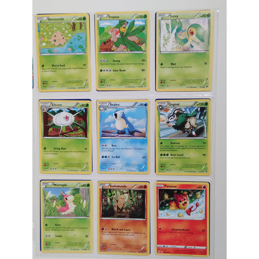 18 Random Pokémon Cards Pictured, Actual Photos Provided