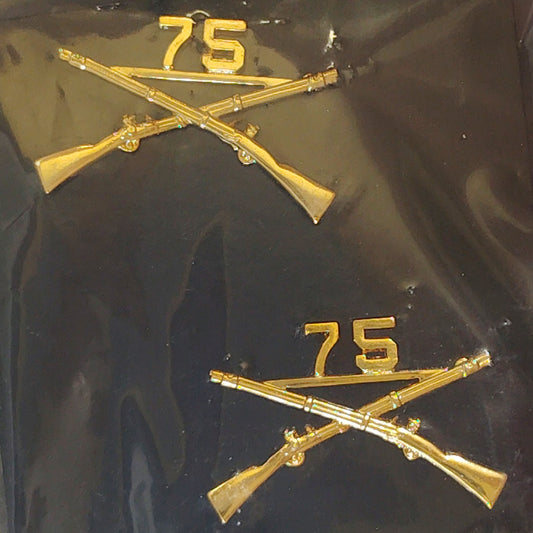 75th Ranger Regiment Infantry Novelty Hat/Lapel/Brooch Pin, Enamel Metal