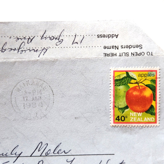 1984 NZ Aerogramme Air Mail Letter 40c Apple Stamp Scenic Views Cover