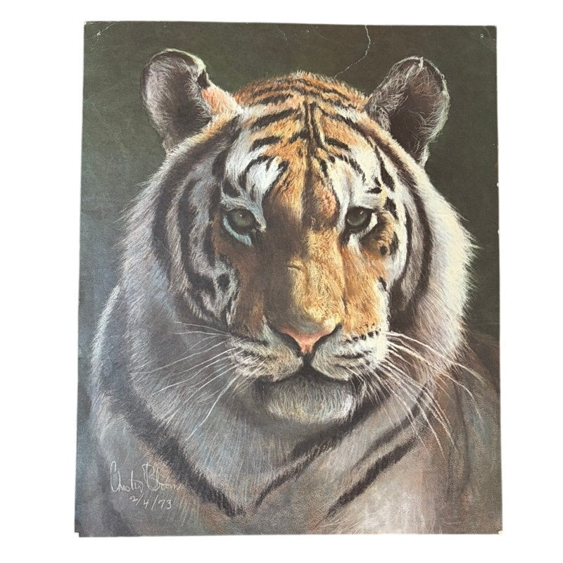 Vintage Charles Bloom Signed 1973 Tiger Art Print - 15.5" x 13" Brown & Orange