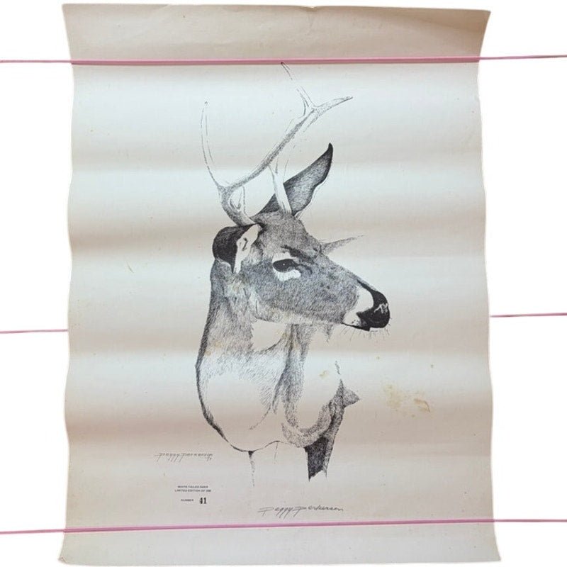 Peggy Perkerson White-Tailed Deer Sketch Print - 1973 Limited Edition 41/200