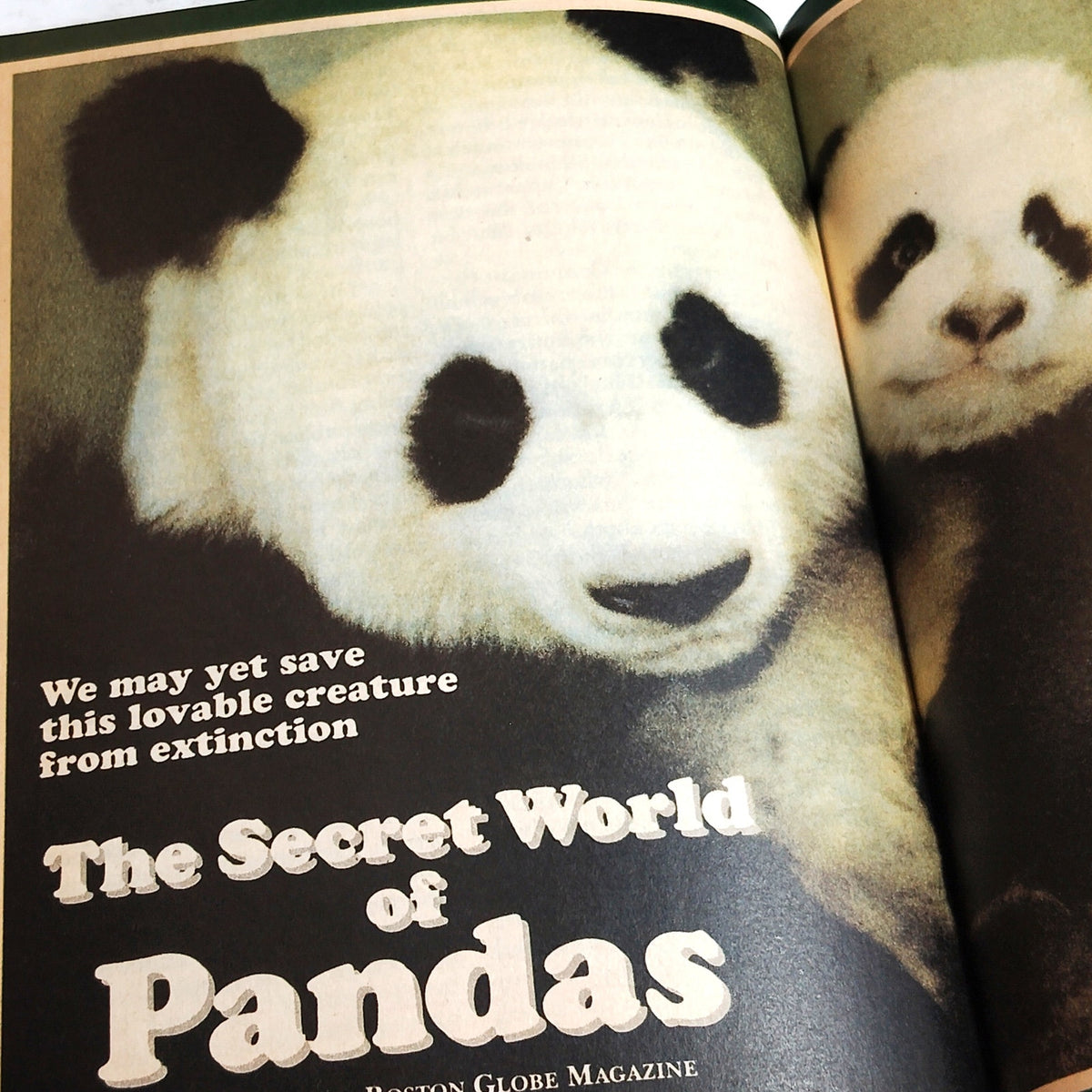 Reader's Digest Magazine July 1991 Vintage Back Issue - Panda Cover