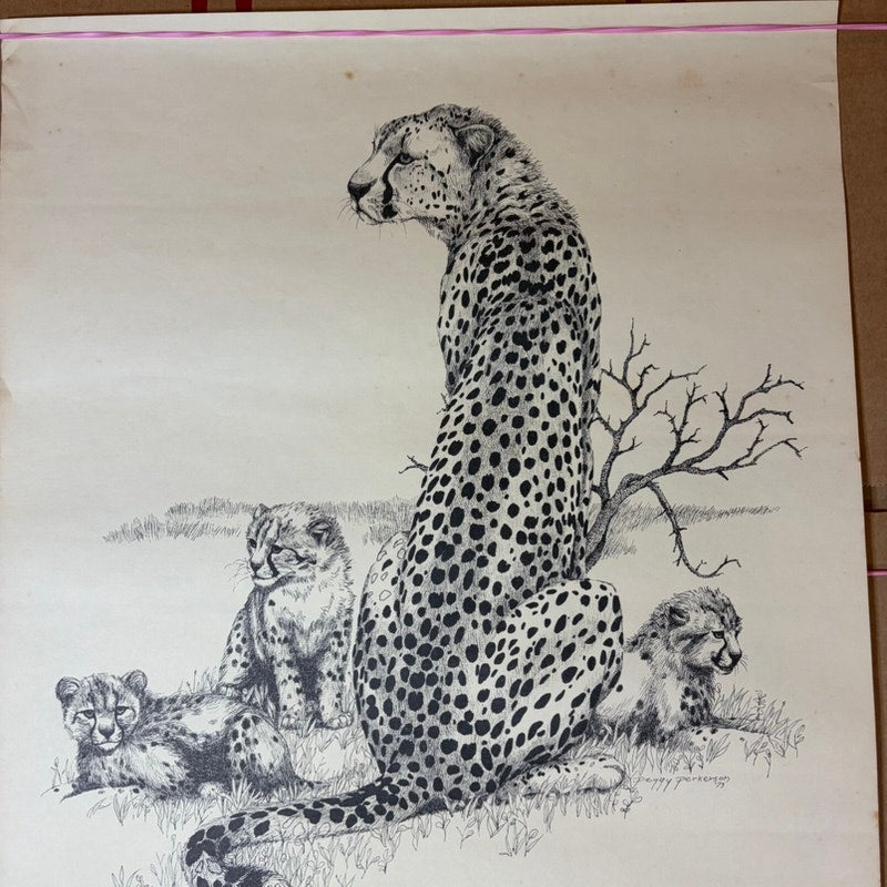 VTG Peggy Perkerson Cheetah Print - 18x14" Signed, Limited Edition Print 57/400