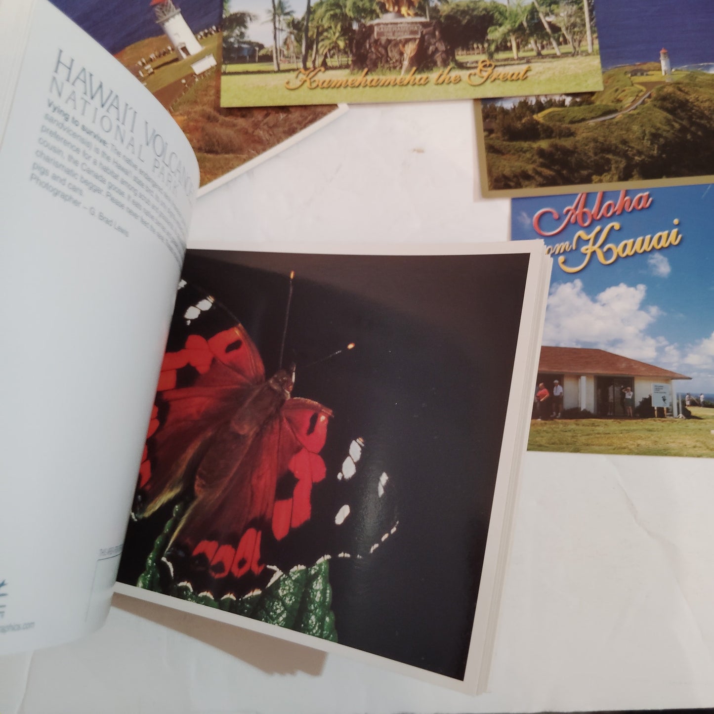 Vintage 2008 Hawaii Postcard Collection & Souvenir Postcard Book - 33 Unique Pcs