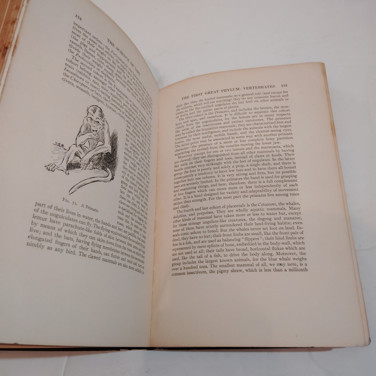 The Science of Life, Volumes I-IV - 1931 H.G. Wells First Edition Set