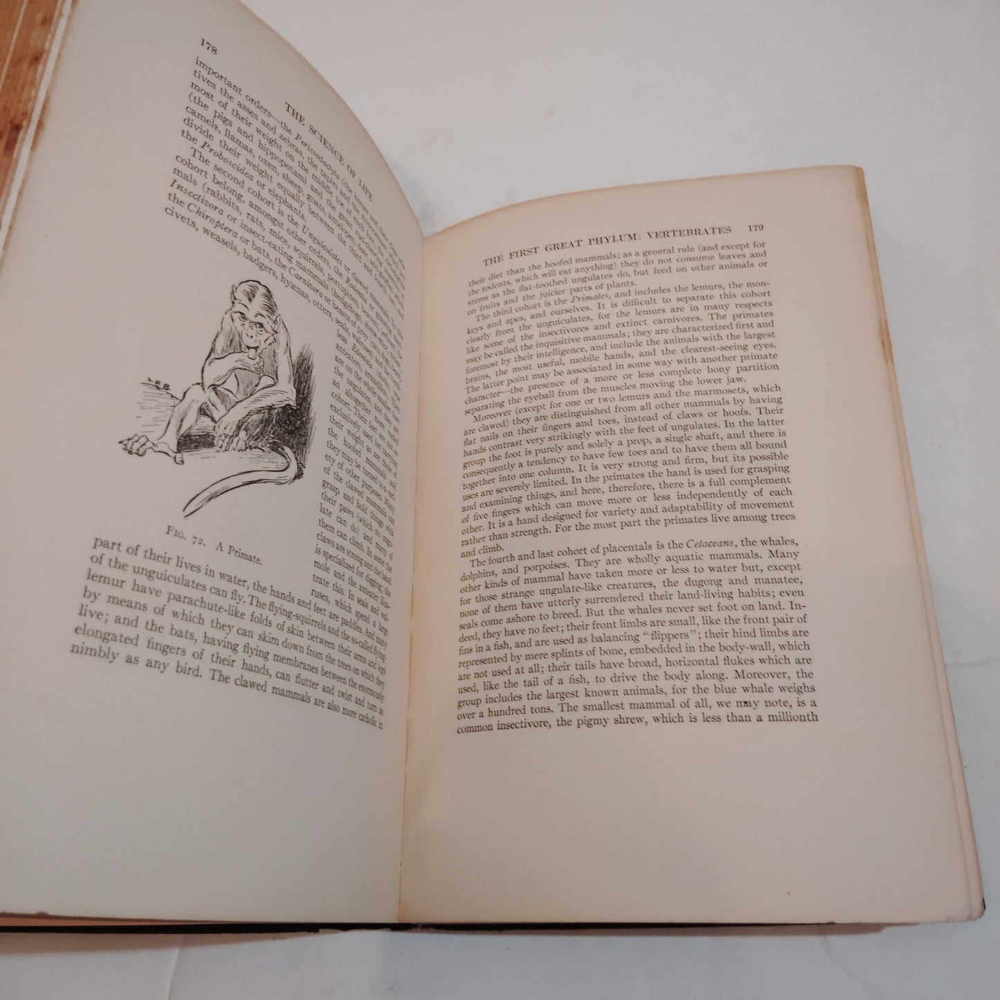 The Science of Life, Volumes I-IV - 1931 H.G. Wells First Edition Set