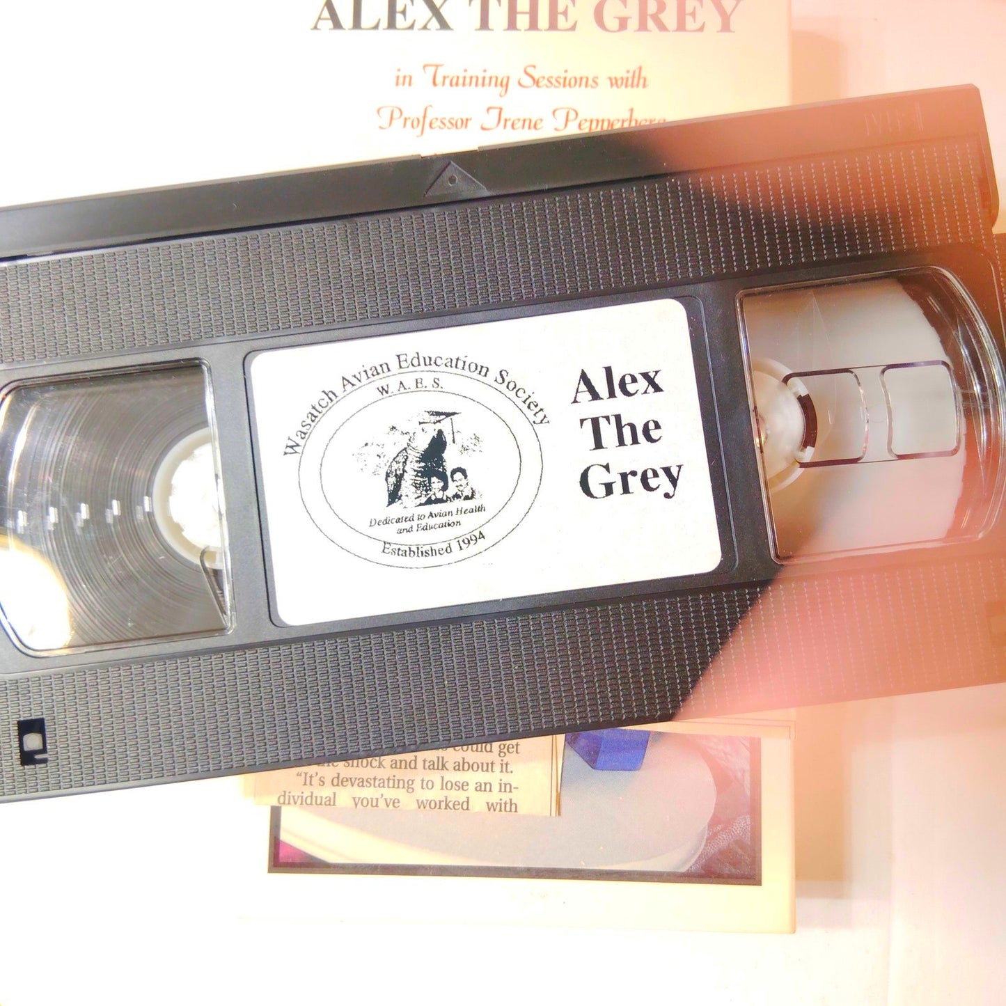 Alex the Grey (African) VHS 1995 Avian Education Society Documentary w/ Article