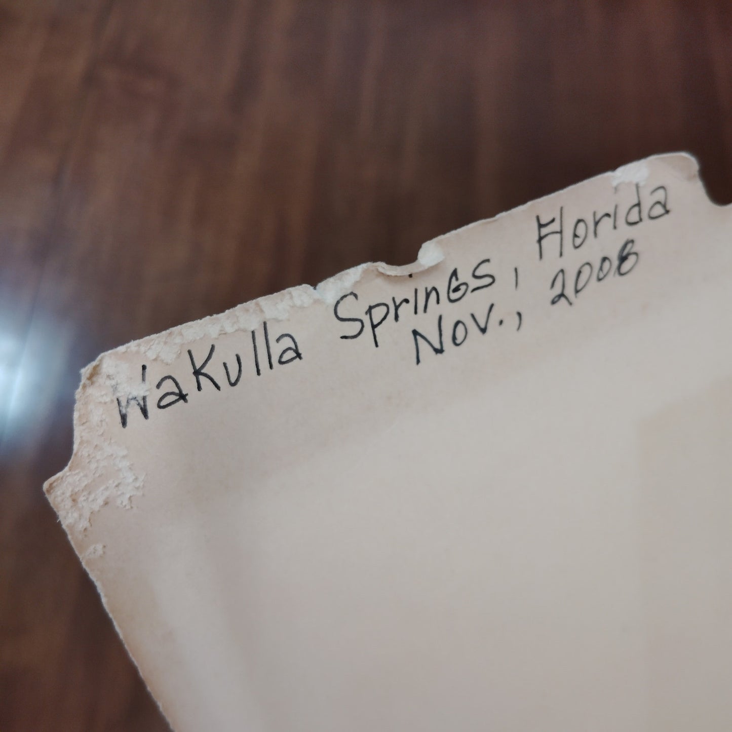 VTG Wakulla Springs, FL Ephemera Collection 2008 - Travel Brochures & Clippings