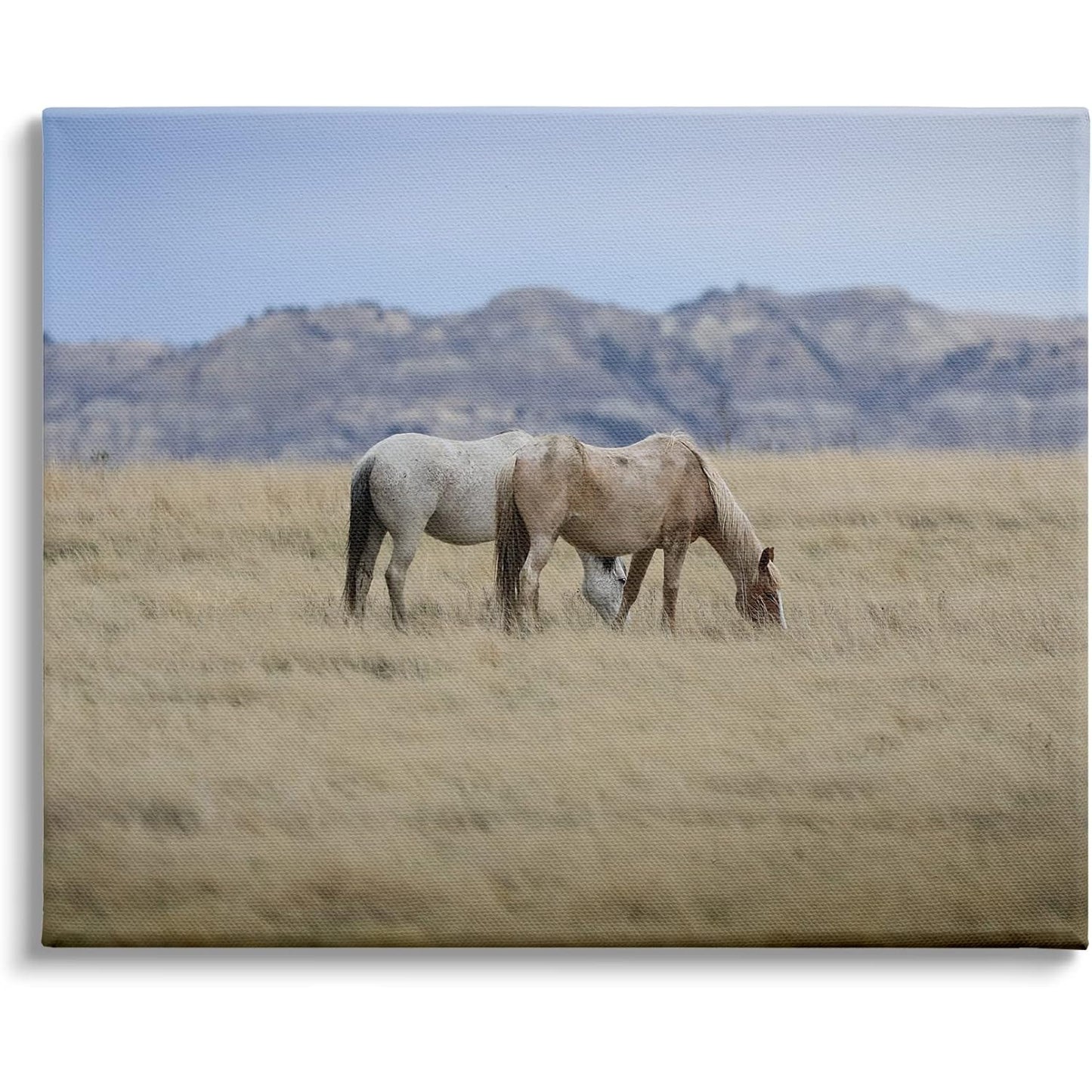 20x16 Grazing Wild Horses Stretched Canvas, Wood Frame Wall Art Design/D. Sproul
