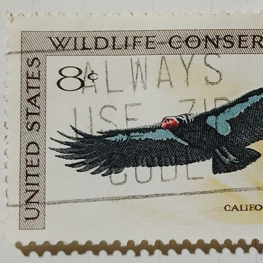 1971 US Postage Stamp #1430 Wildlife Conservation California Condor 8c Used