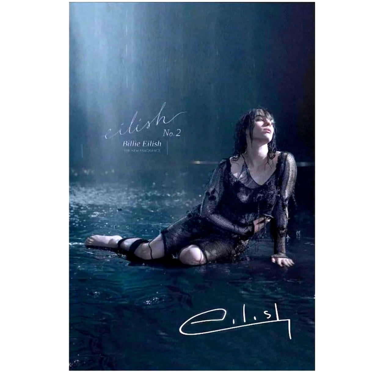 Eilish No.2 Canvas Art Print – Billie Eilish, 16" x 24" Unframed, Music Décor