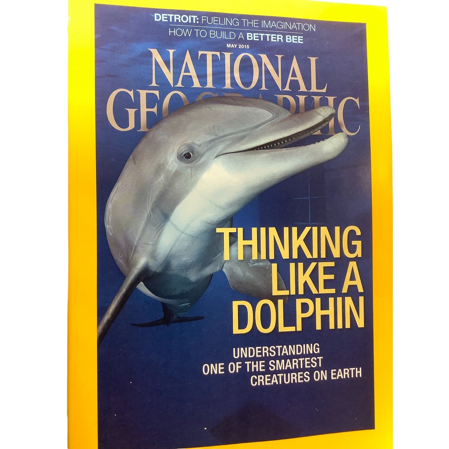 National Geographic May 2015, Dolphins, Detroit, Super Bee, Mekong, France/Spain