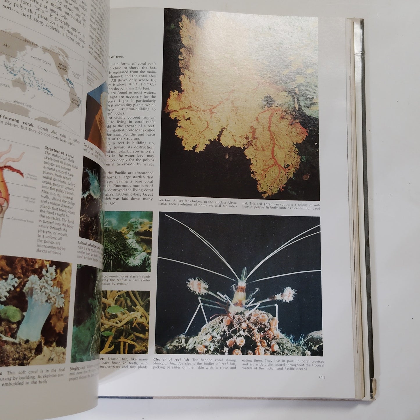 Reader’s Digest Fascinating World of Animals 1971 Hardcover 12.5" x 9.5" x 2"