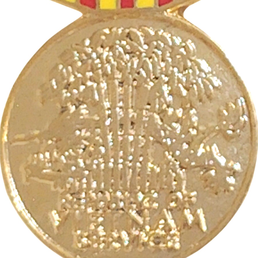 Vietnam Service Miniature Medal Novelty Hat/Lapel/Brooch Pin, 1‑1/8" × 3/4"