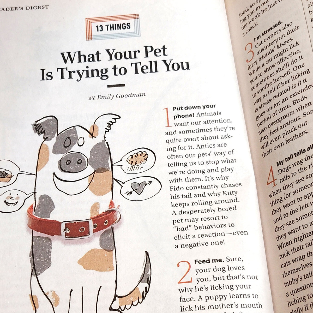 Reader's Digest May 2022 - Good Neighbors Spring Cleaning Magazine Back Issue
