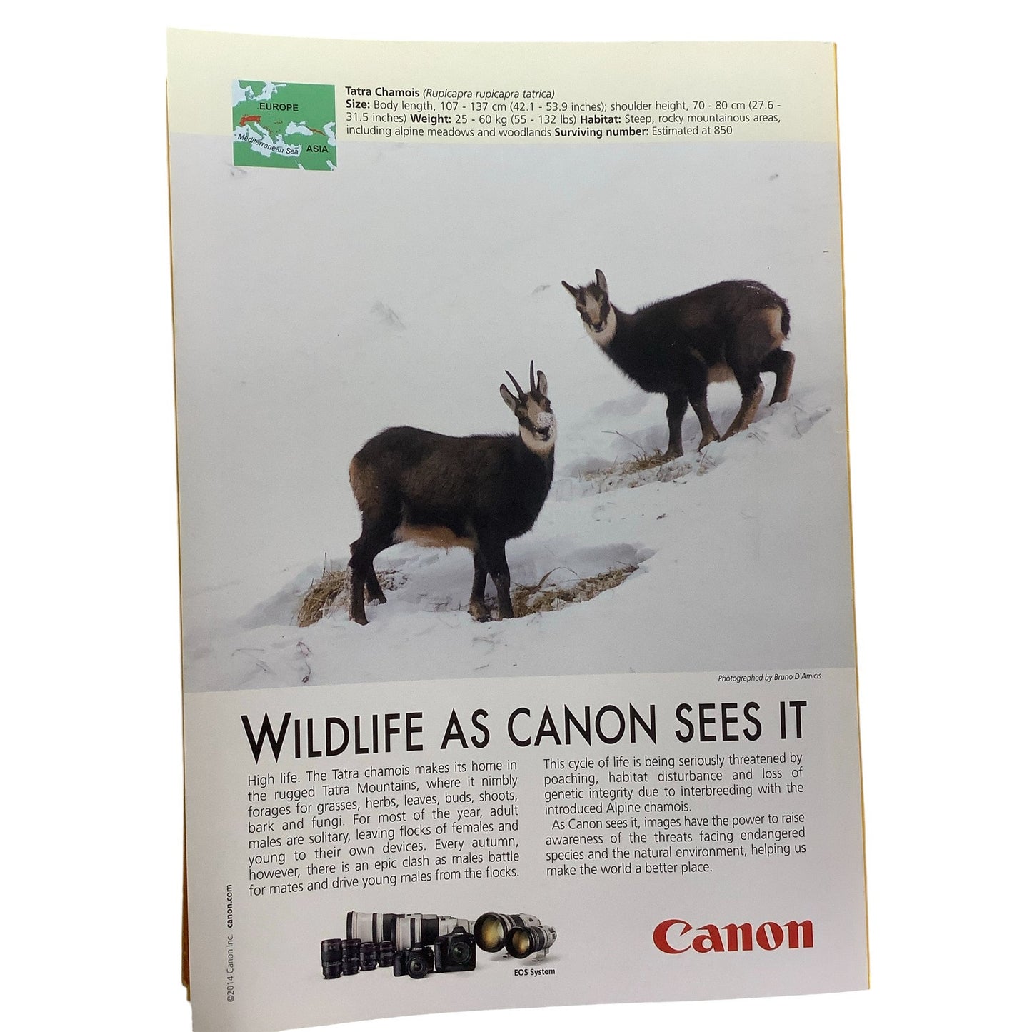 National Geographic DECEMBER 2014, Holy Lands, Joy of Food, Communal Table, Cross Currents,  3D Printers, Wasteland, Patagonia's Cowboys, LN