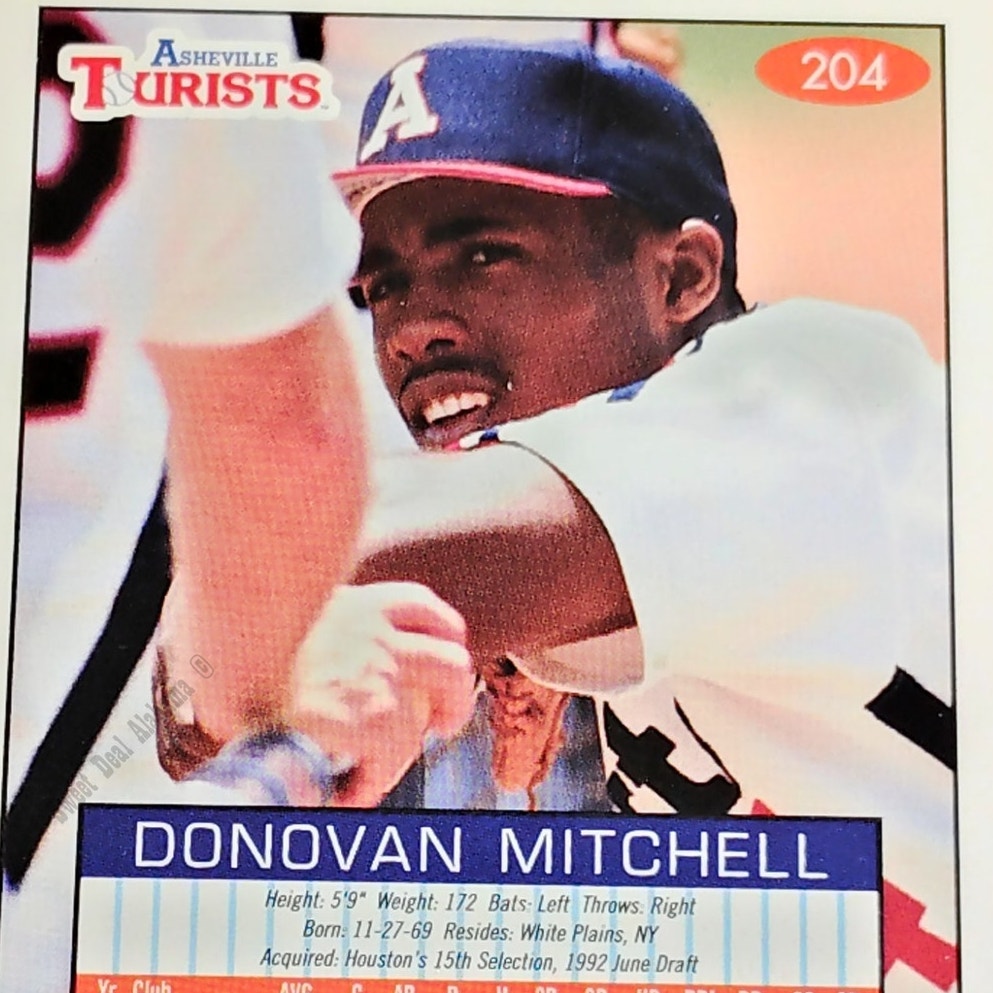 Donovan Mitchell, Asheville Tourists, No. 204,  93-94 Fleer Excel Minor Leagues