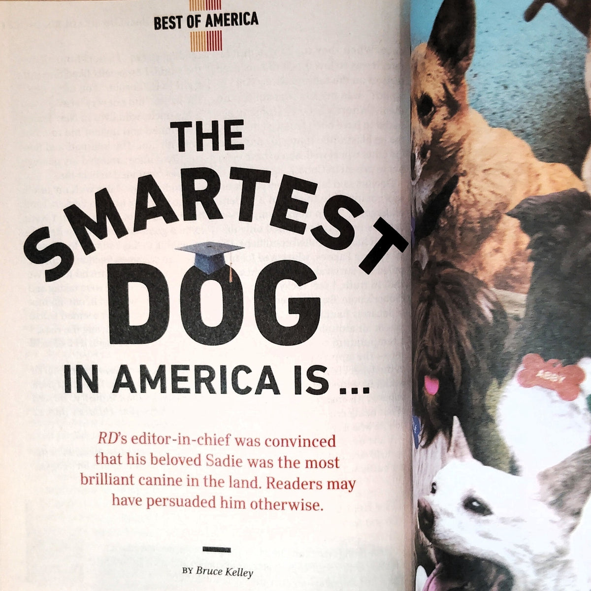 Reader's Digest Sept 2020 The Genius Issue Build a Stronger Brain Magazine