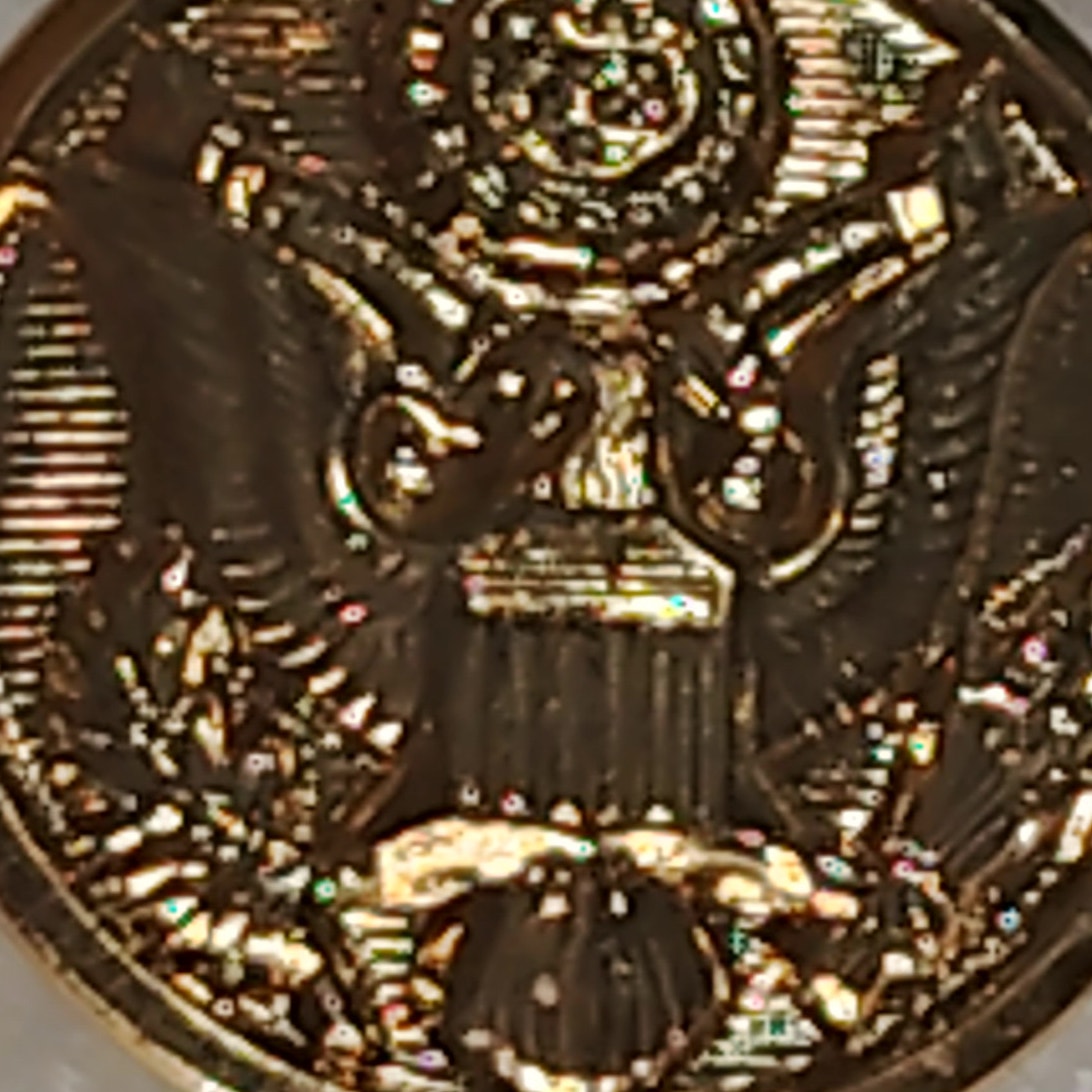 Waterbury Gold Eagle Great Seal Novelty Sew‑On Coat Button 27 Ligne 5/8"