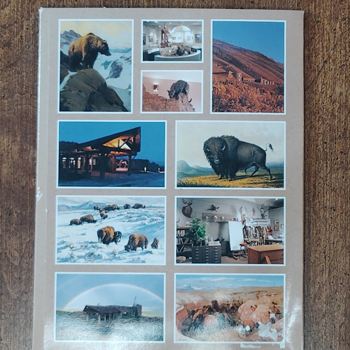 National Museum of Wildlife Art Postcard Set - Wildlife Paintings & Sculptures