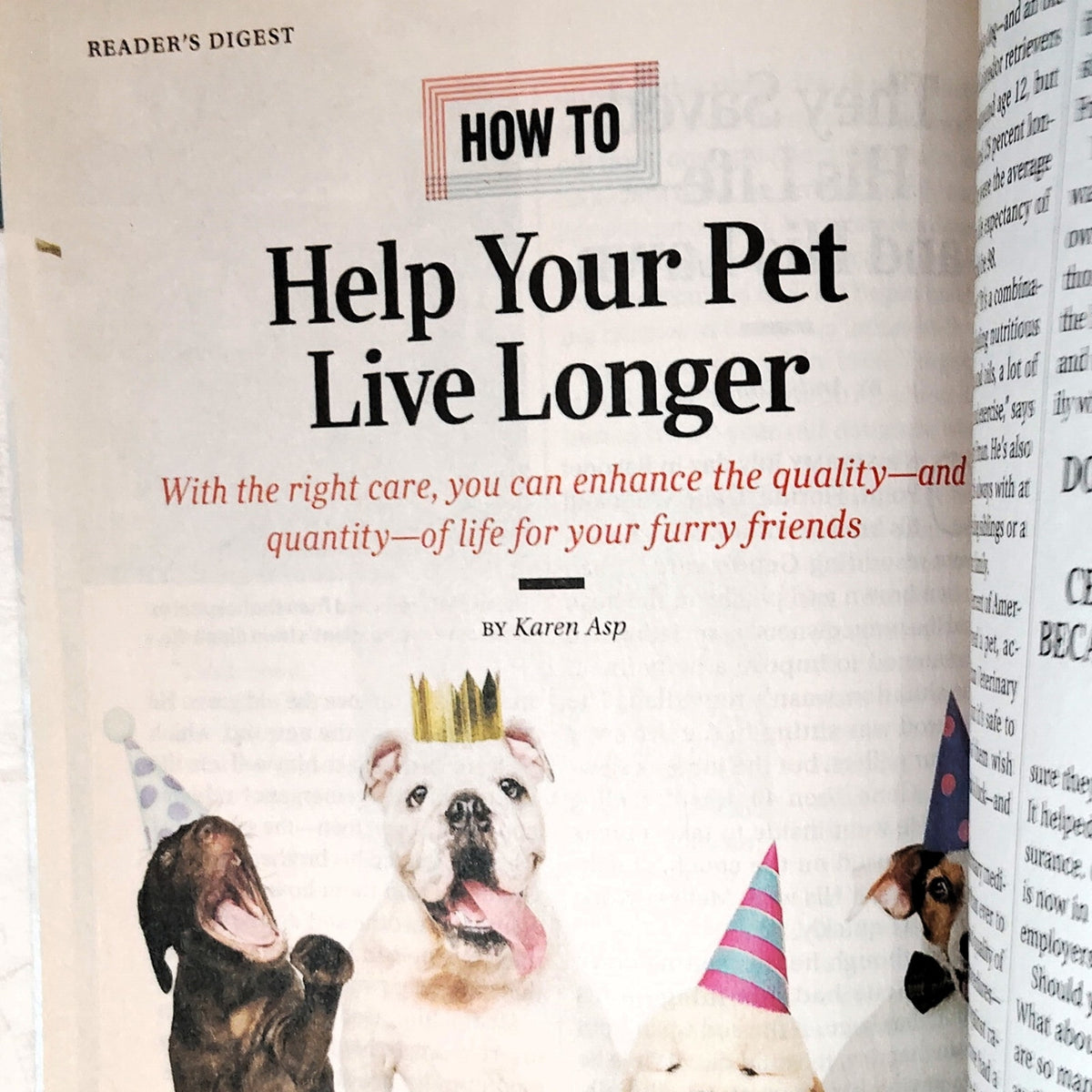 Reader's Digest July/August 2019 America the Tasty Magazine Back Issue