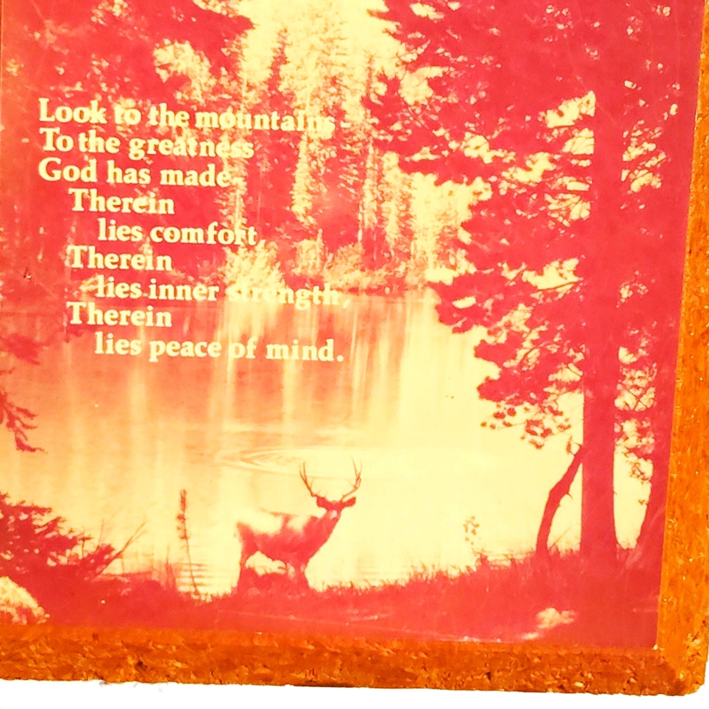 Lot 2 VTG Rustic Wall Plaques Kmart Elk Nature Print + Country Heart Sister
