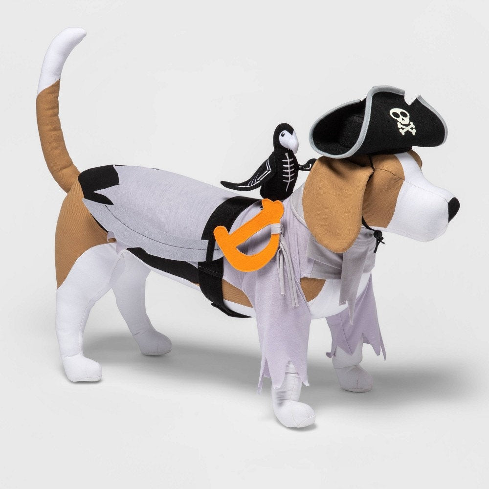 Hyde & EEK! Boutique Halloween Ghost Pirate LED Dog Costume – Medium